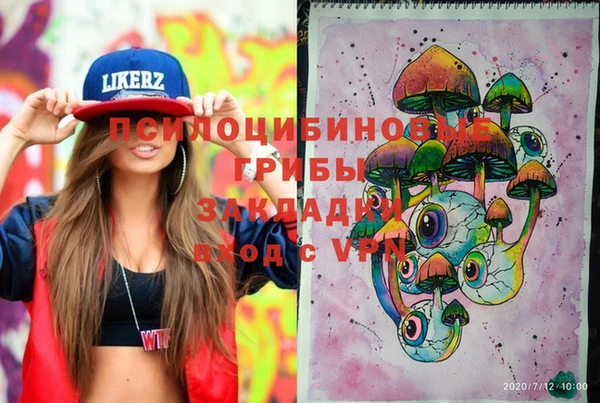 spice Лиски