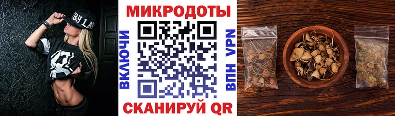 дарнет шоп Брюховецкая Галлюциногенные грибы Psilocybe